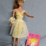 Barbie and Skipper's match Orange