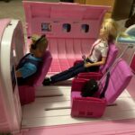 Pink Passport Airlines