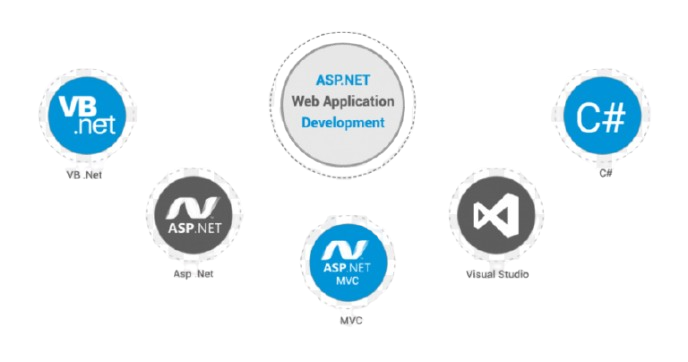 4840203-middle-removebg-preview